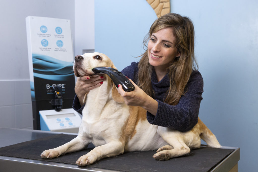 home laser therapy device