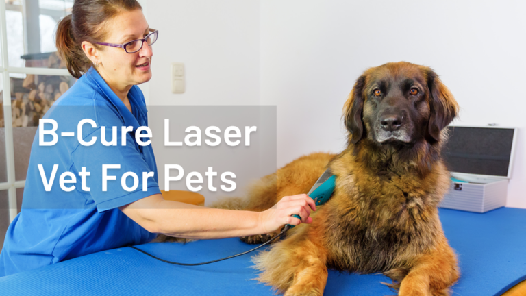 What Do You Need To Know About Pets Laser Devices? | Bcurelaservet