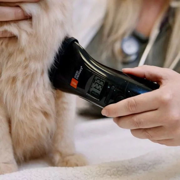 B Cure Laser Vet Device