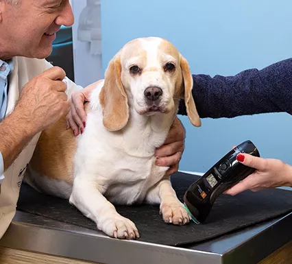 home laser therapy device
