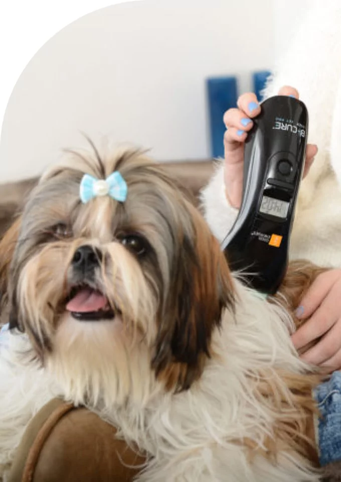 Treat at the comforttegory images