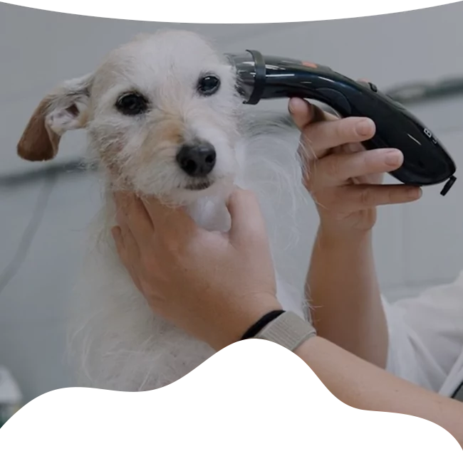 cold laser therapy